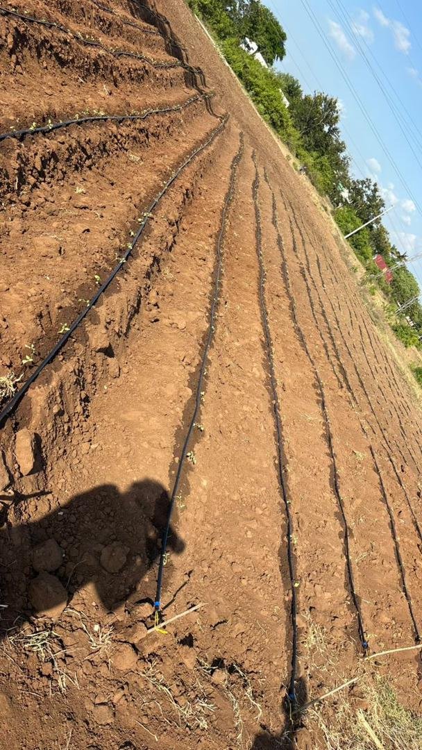 Sustainable Agriculture Initiative - Image 3